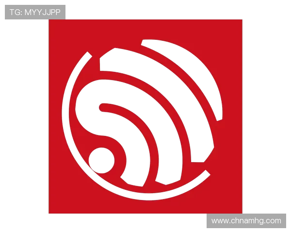 皇冠电游官网登录流程详细指南，确保每次登录顺畅无忧